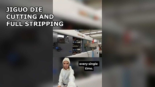 AUTOMATYCZNA MASZYNA DO WYKRAWANIA I ODKŁADANIA JIGUO (PEŁNEGO STRIPOWANIA)